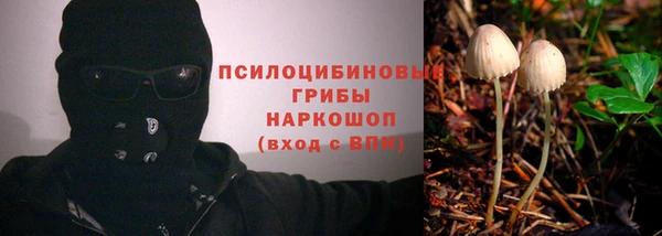 apvp Белокуриха