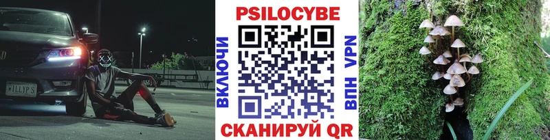 Галлюциногенные грибы мицелий  Белая Холуница 